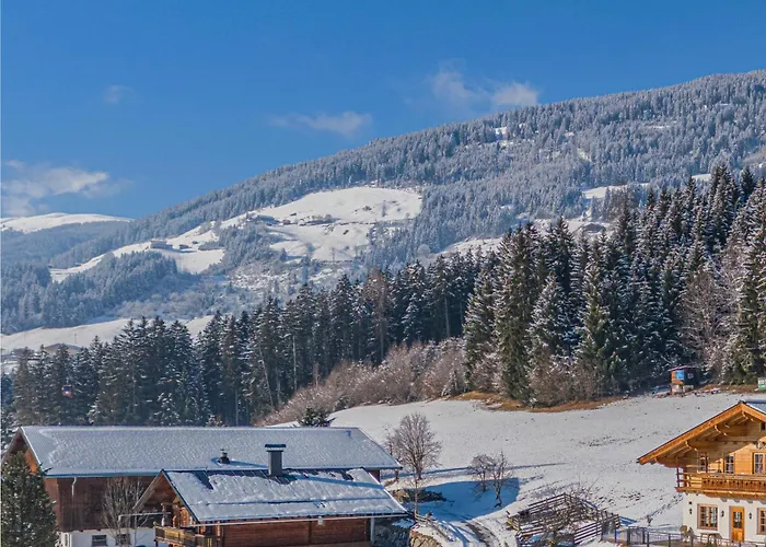 Apartamento Premium Sunnseitpanorama Hollersbach im Pinzgau